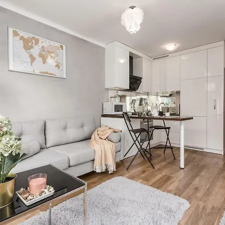 Rent Like Grzybowska 6 *
